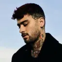 ZAYN profile